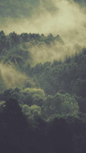 本地的上海网站建设公司截图2