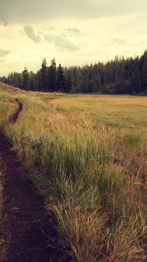 网站建设案例截图1