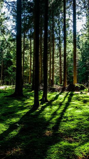 网站建设案例截图3