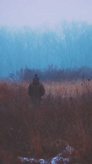 福州seo优化工具外包截图3