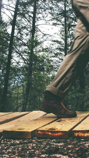 佛山美容院网站建设截图1