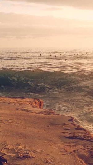 seo站长工具怎么关掉截图2