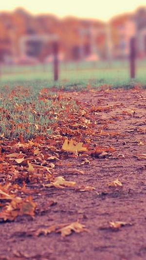 上海建设网站公司截图5