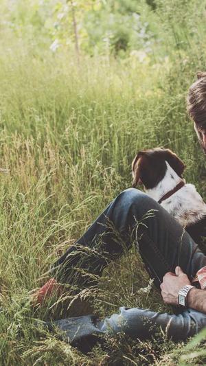 重庆忠县网站建设截图3