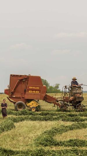 seo在线优化工具 sit截图2