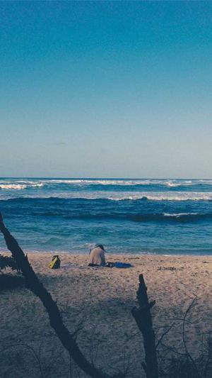 百度蜘蛛池搭建图片截图2