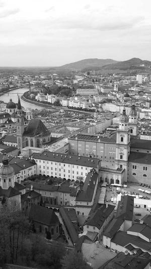 秒收录蜘蛛池seo教程截图1