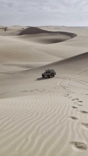 seo站群如何操作蜘蛛池截图5