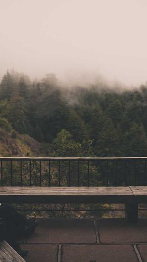 seo发布工具截图5