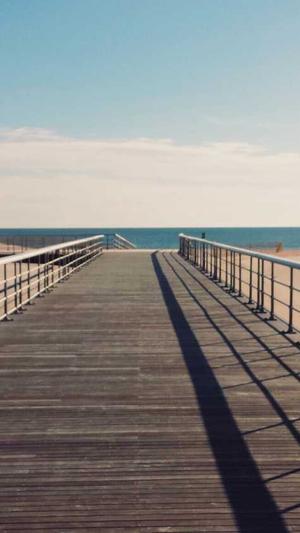 小旋风万能蜘蛛池出租截图4