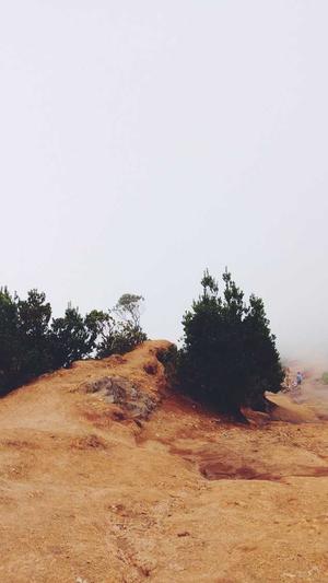 seo优化知识截图3