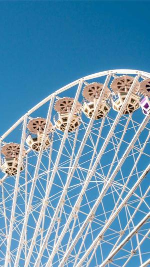 中国科学院蜘蛛池截图2