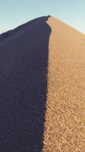 超级蜘蛛池真的有效吗截图2