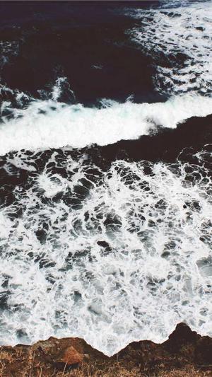 搜索seo热门工具大全截图3