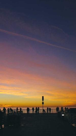 seo优化行业截图2