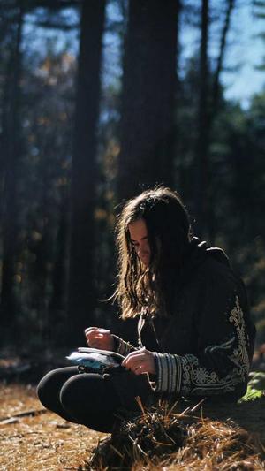 seo教程蜘蛛池秒收录截图3