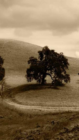 长沙建设网站制作截图4