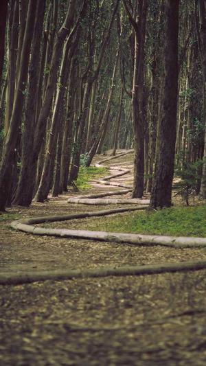 泛目录站群教程截图4