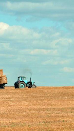 广州网站建设制作截图4