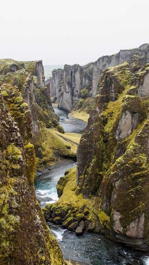 免费seo优化截图2