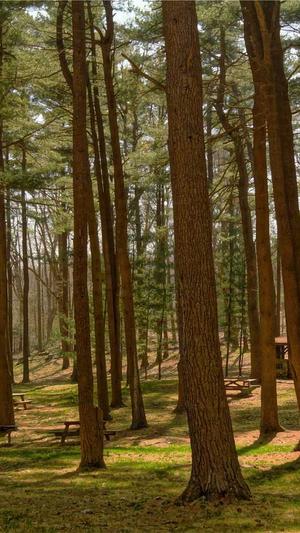 昆明seo优化公司截图2