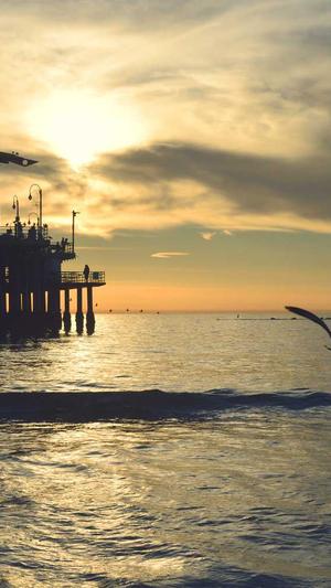 零距离泛目录使用教程截图5