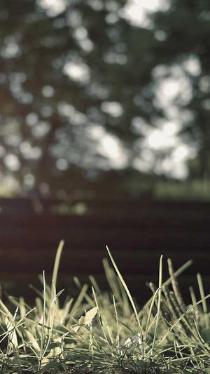 SEO优化教程截图5