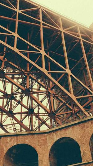 蜘蛛池需要哪些东西截图3