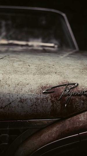 蜘蛛池能不能收录网站截图2