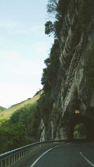 百度蜘蛛池搭建图片截图1