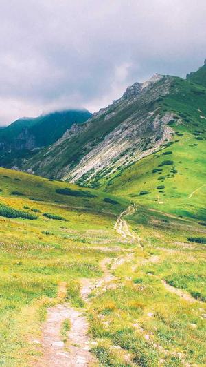 偃师网站建设截图3