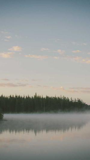 蜘蛛池如何自己搭建截图2