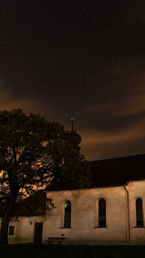 小旋风蜘蛛池英文截图2