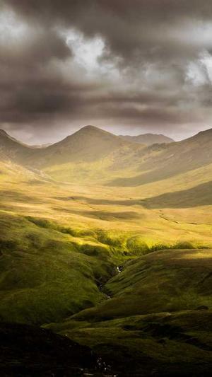 网站seo代码优化工具截图4