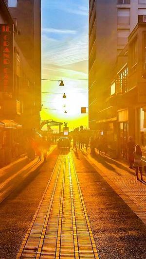 网页版蜘蛛池截图3