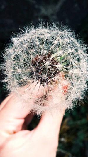 seo优化工具推荐截图3