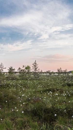 蜘蛛池就是徽ahuaseσ截图2