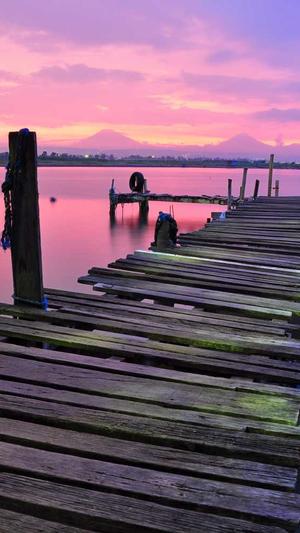 小旋风蜘蛛池x9破解版截图5