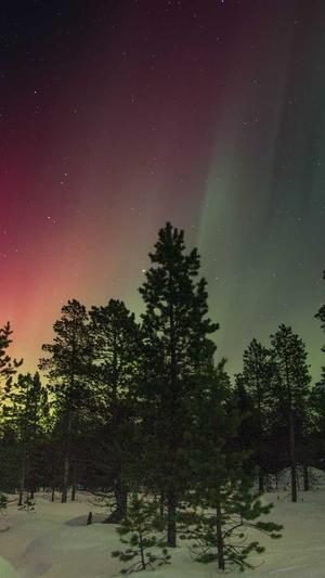 外推蜘蛛池优化截图4