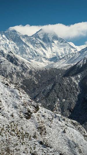 泛目录出租有什么用截图4