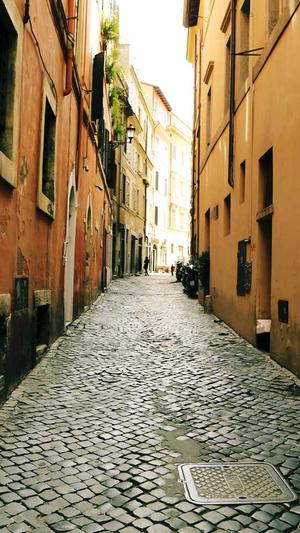 seo快排软件工具截图1