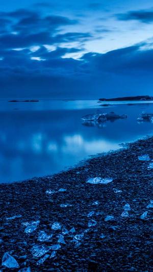 蜘蛛池免费软件下载截图1