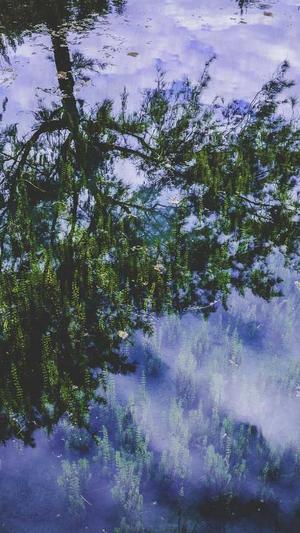 秒收录蜘蛛池seo教程截图2