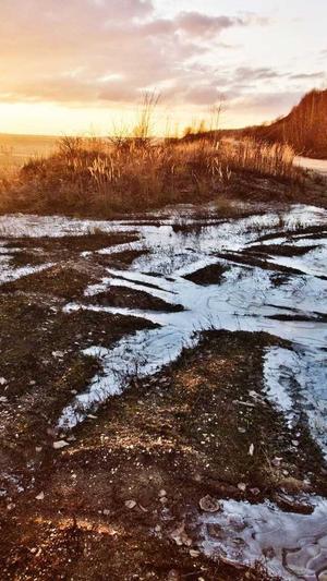 seo优化工具优势截图2