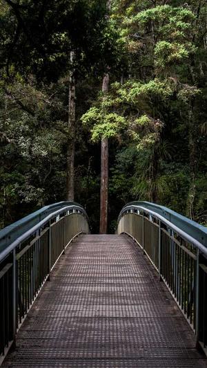 爱站工具包seo截图2