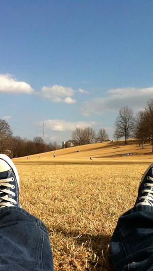 平台seo工具广告截图1