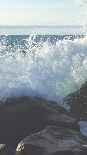 seo泛目录选择旺客专家好截图4