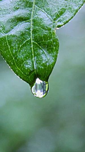 零距离泛目录使用教程截图2