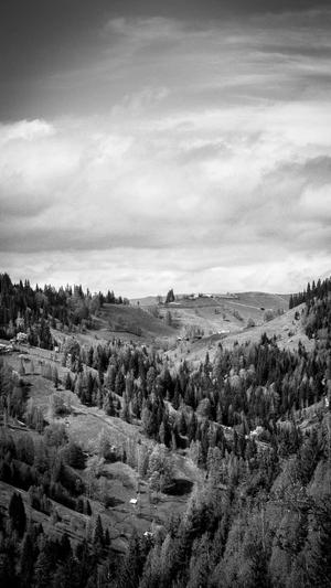 千云坛蜘蛛池截图2