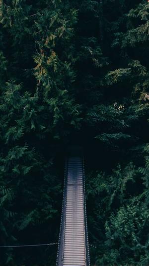 seo免费诊断截图2